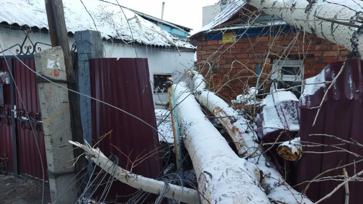 В Усть-Каменогорске ветром повалило деревья