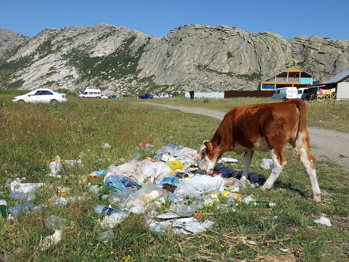 Уборка побережий Сибин, Окуньков и Таинты ляжет на плечи бюджетников