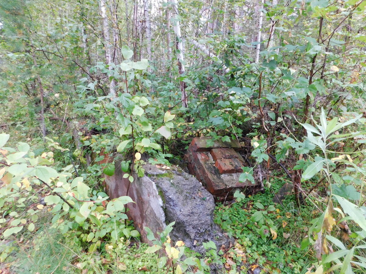 Перспективы возрождения системы детского отдыха в ВКО