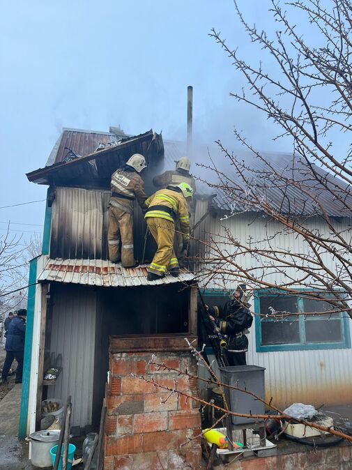 В Усть-Каменогорске в пожаре погибли животные