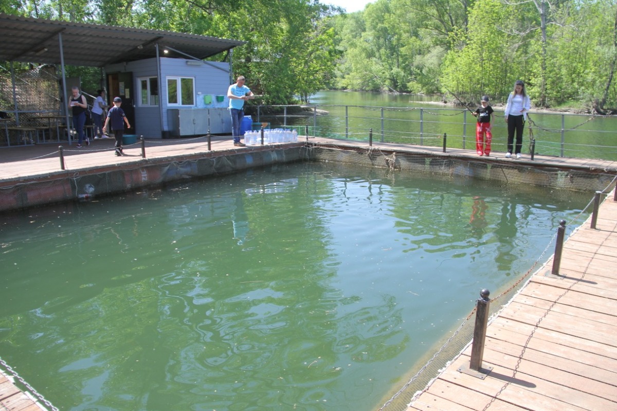 Какие виды развлечений доступны для горожан в Левобережном парке?