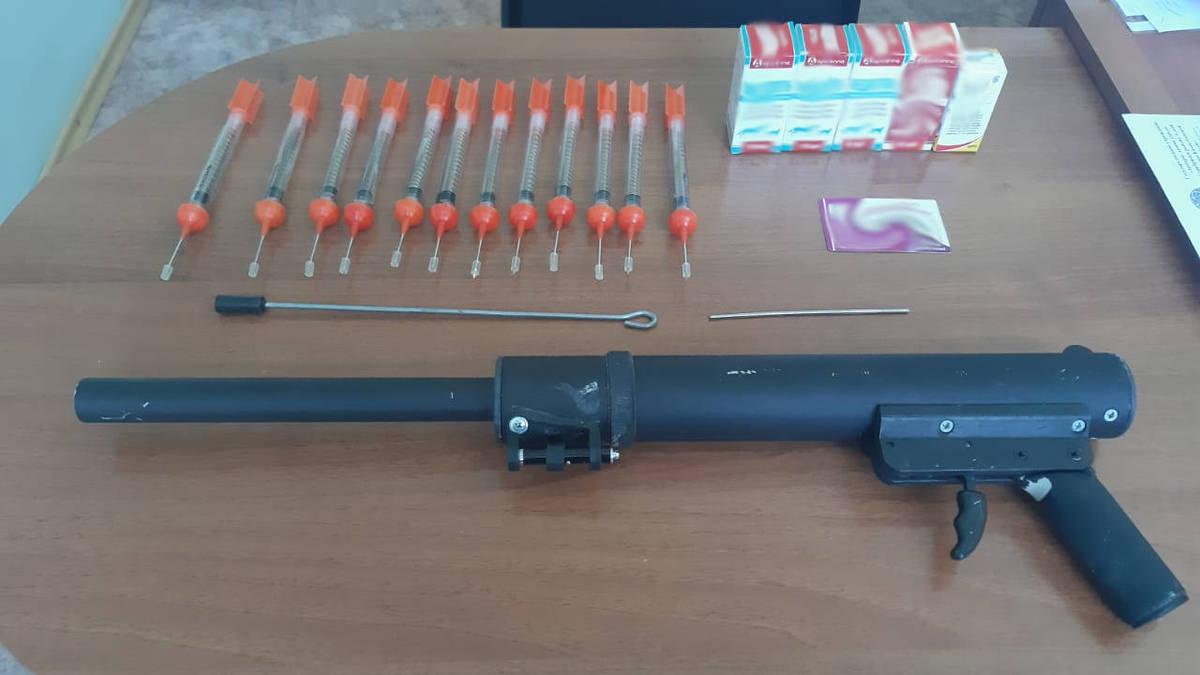 В ВКО проводят операцию по устранению медведя-дебошира