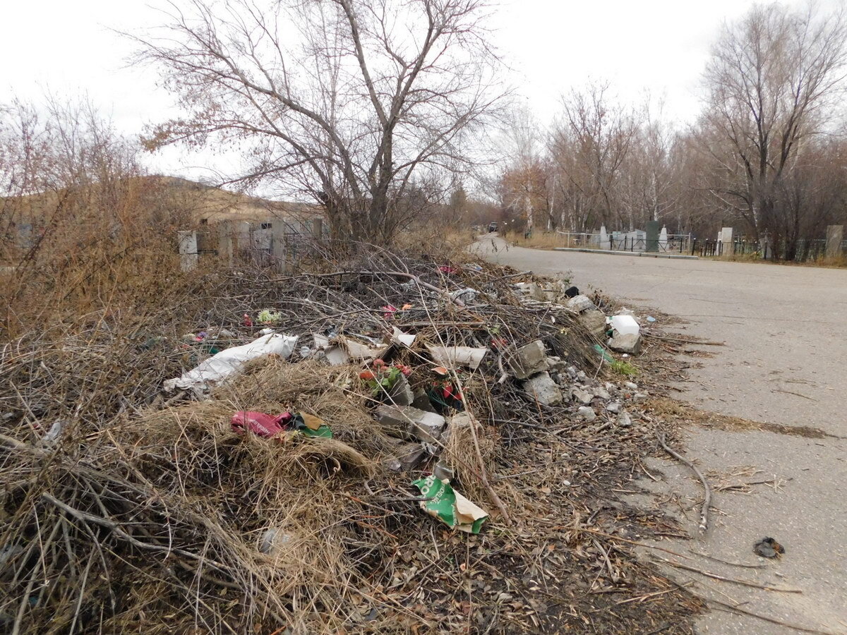 Можно ли навести порядок на старейшем кладбище Усть-Каменогорска?