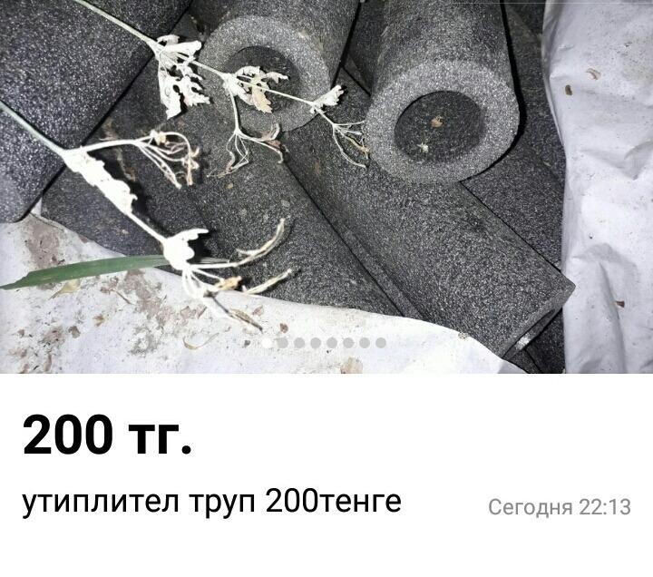 Остров на Бухтарме, слон и собутыльник на час: подборка нестандартных предложений от жителей ВКО