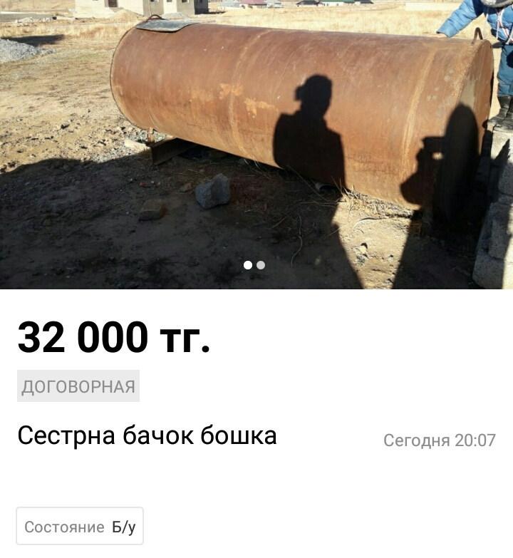 Остров на Бухтарме, слон и собутыльник на час: подборка нестандартных предложений от жителей ВКО
