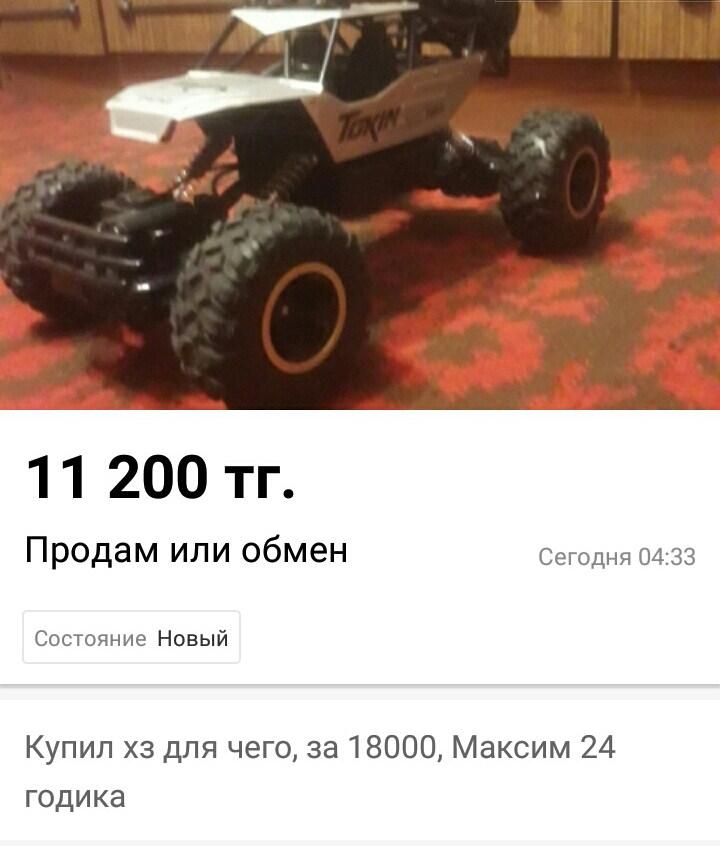 Остров на Бухтарме, слон и собутыльник на час: подборка нестандартных предложений от жителей ВКО