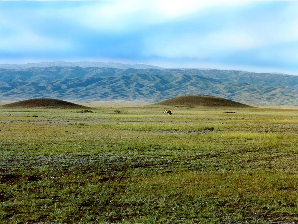 Как отправиться в историческое сакральное место Восточного Казахстана — Шиликтинскую долину