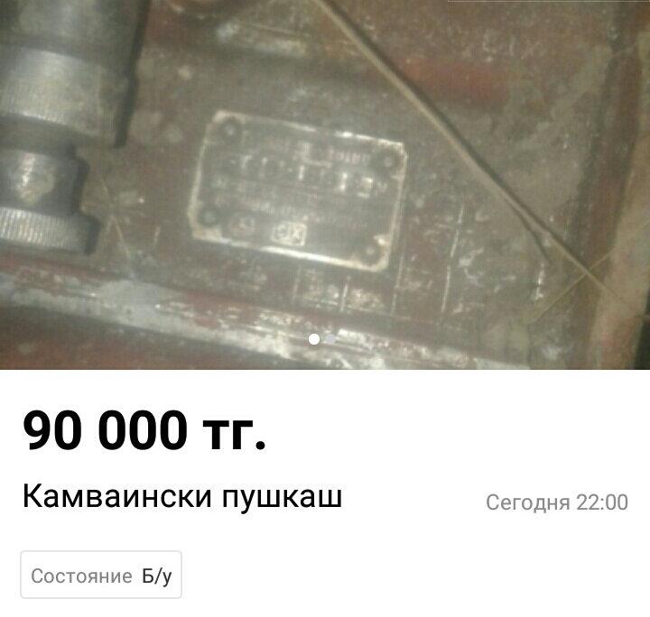 Остров на Бухтарме, слон и собутыльник на час: подборка нестандартных предложений от жителей ВКО