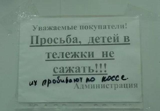 Остров на Бухтарме, слон и собутыльник на час: подборка нестандартных предложений от жителей ВКО