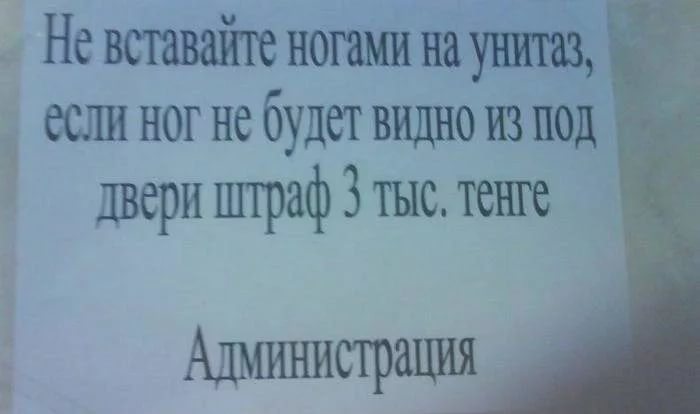 Остров на Бухтарме, слон и собутыльник на час: подборка нестандартных предложений от жителей ВКО